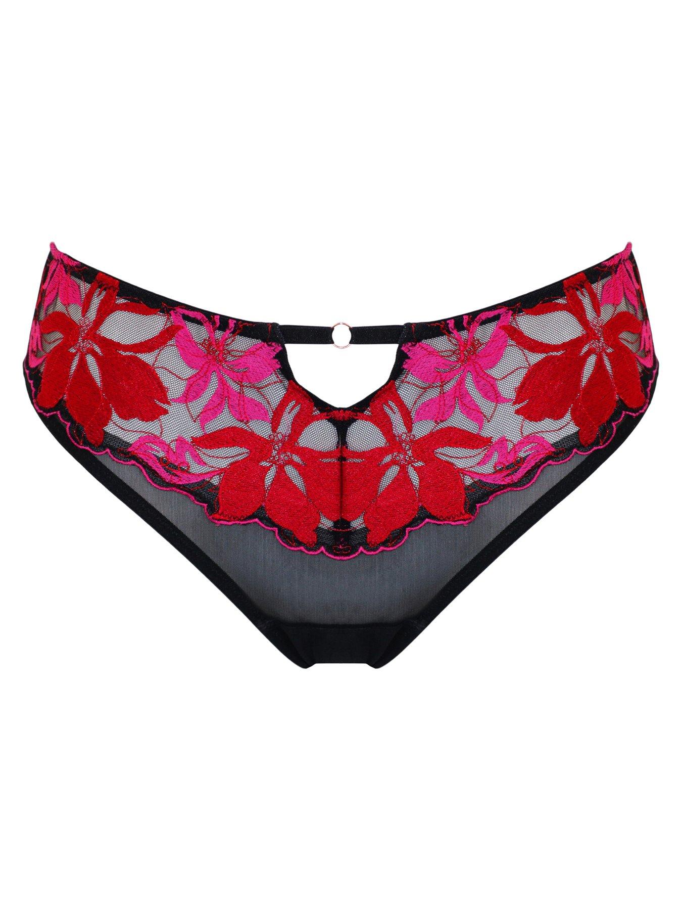  image of pour-moi-roxanne-embroidered-high-leg-mesh-brief