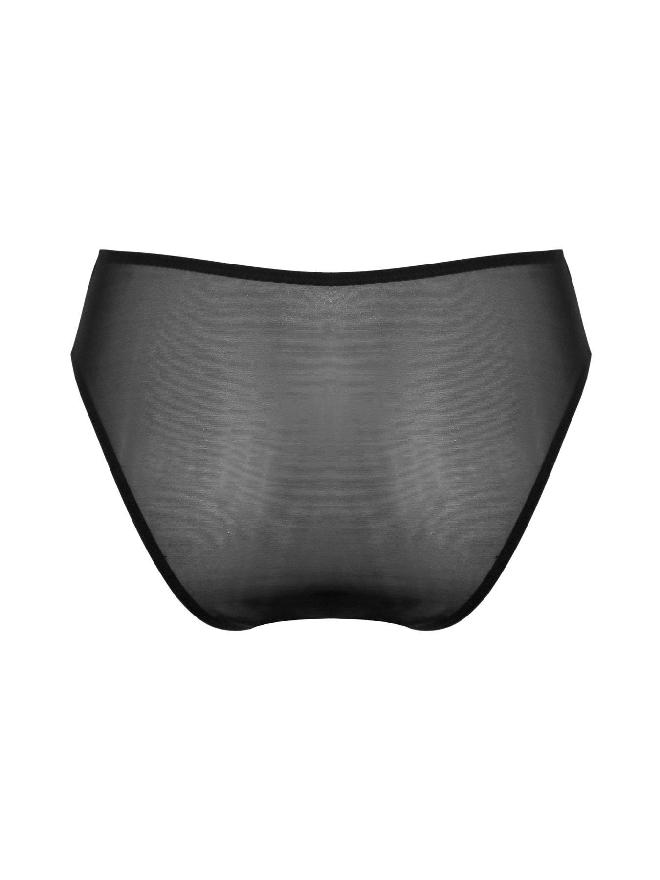  image of pour-moi-roxanne-embroidered-high-leg-mesh-brief