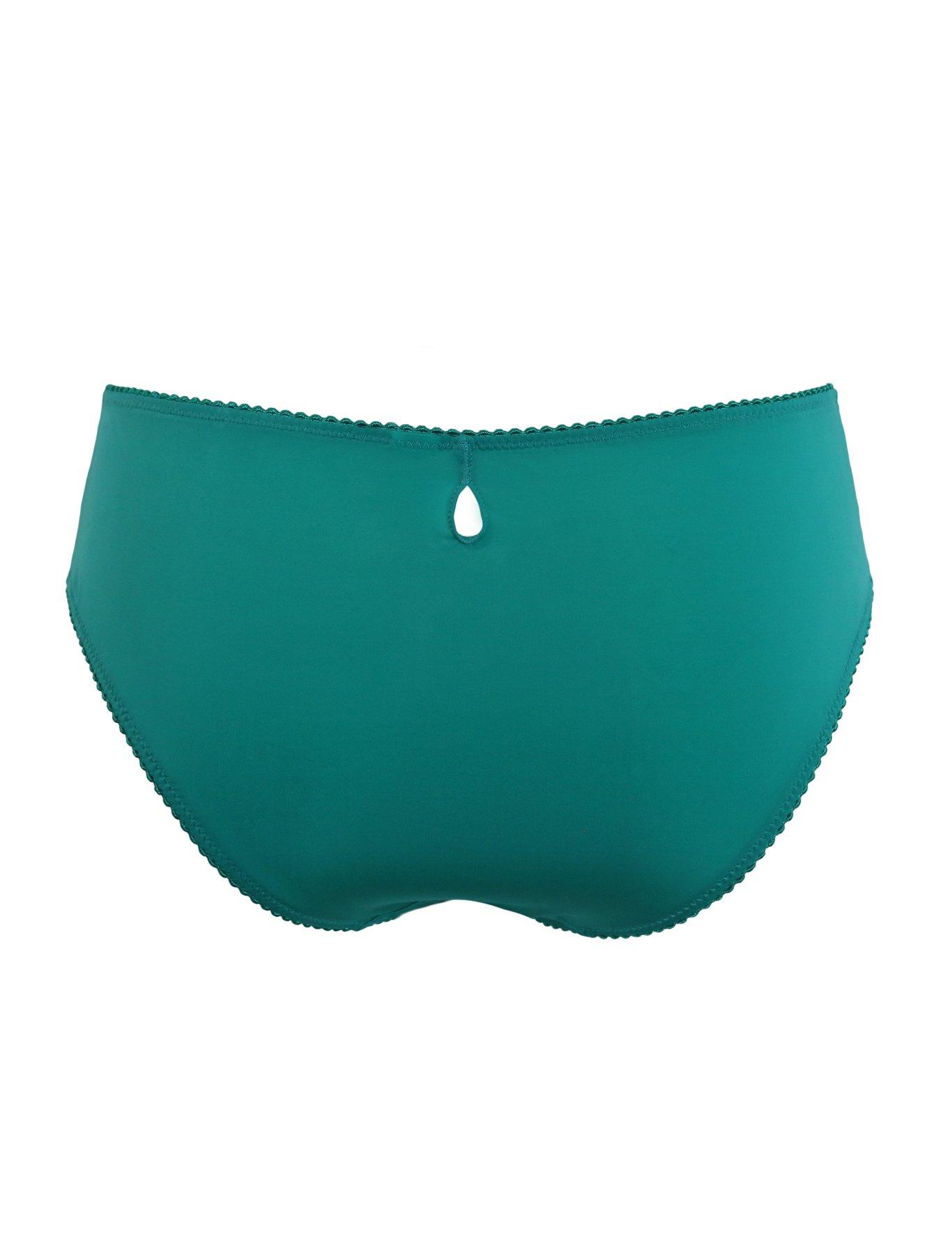  image of pour-moi-sofia-embroidered-lace-bikini-brief