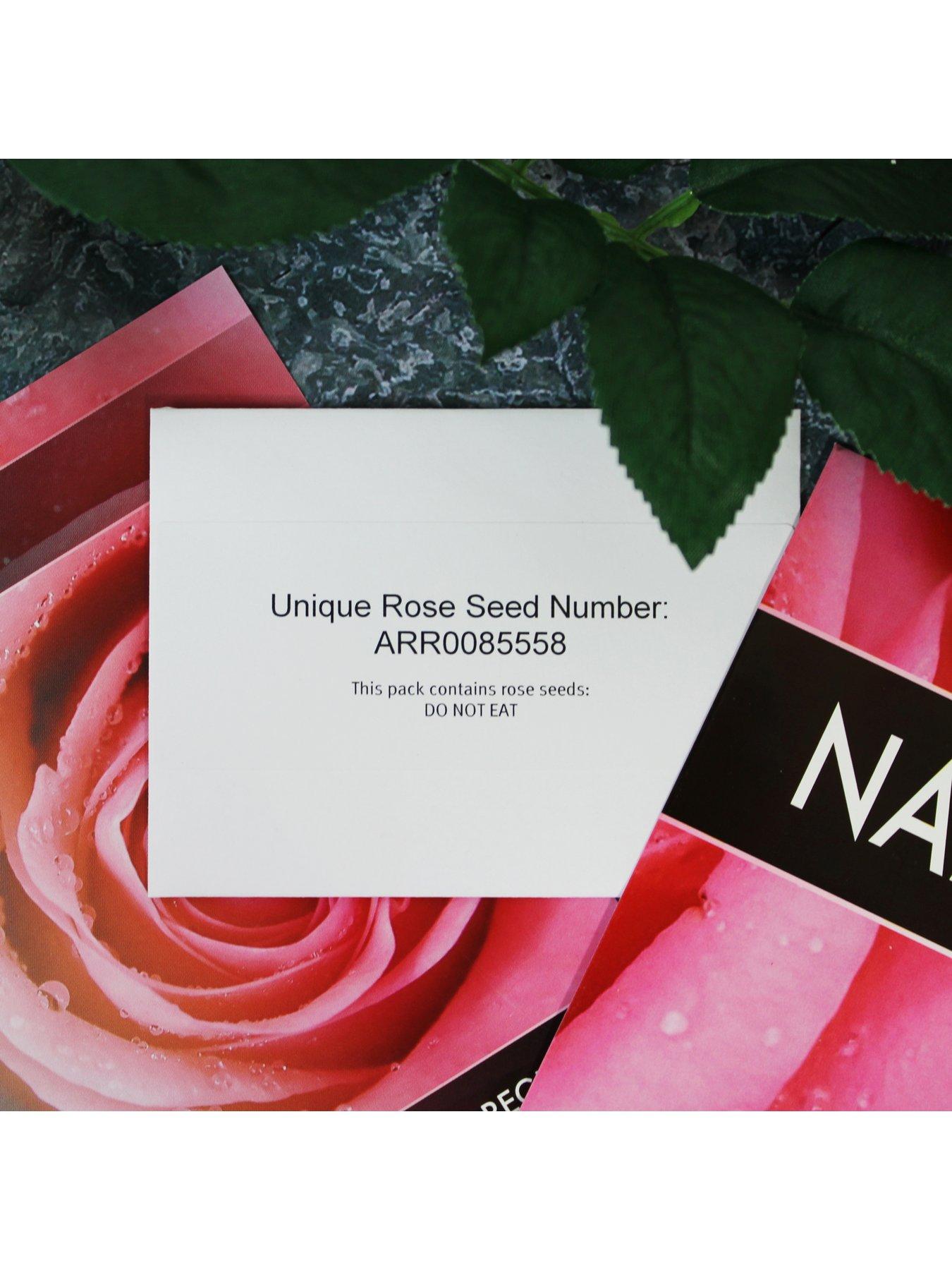 Name A Rose Littlewoods Com