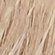 613/18 CHAMPAGNE BLONDE