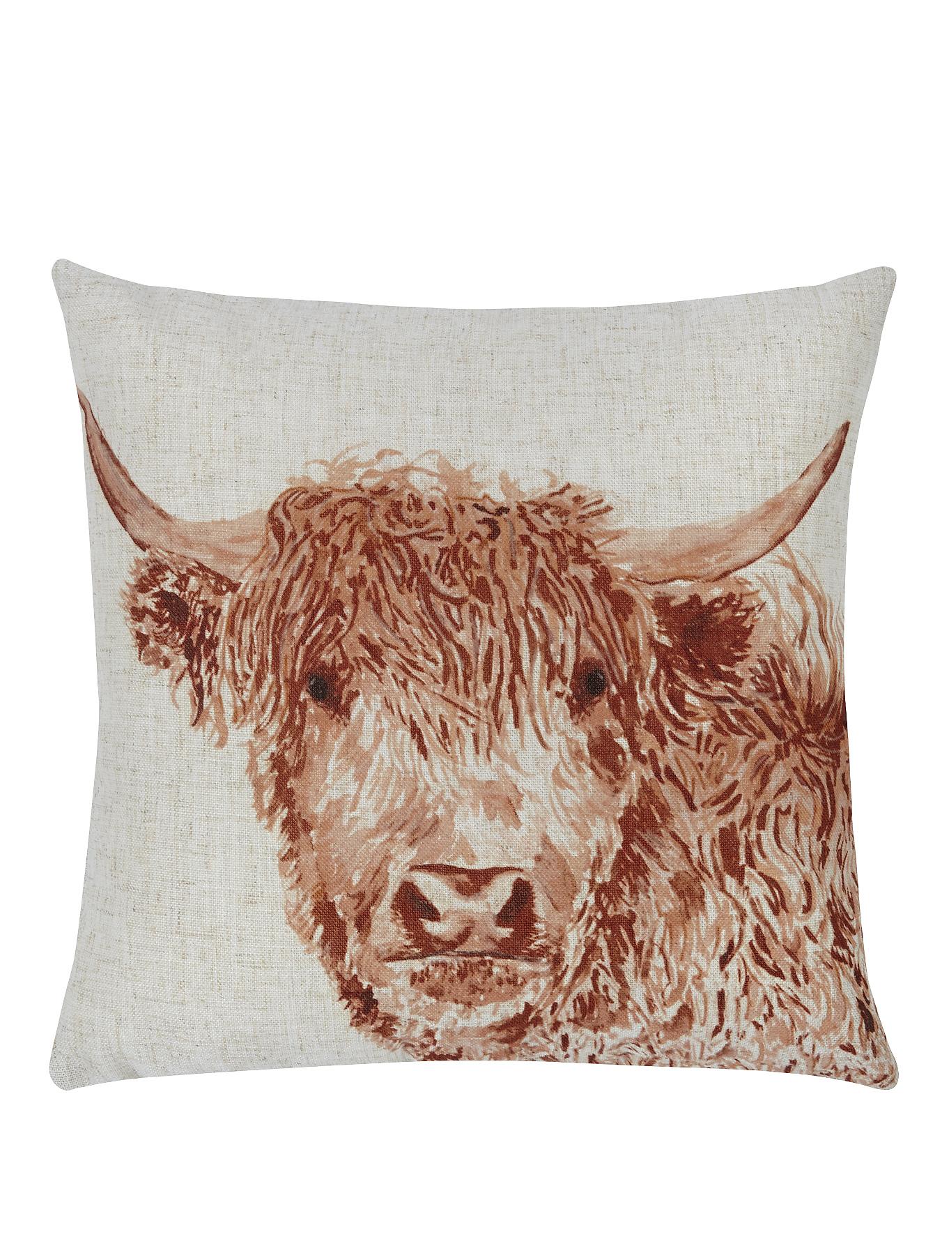 Highland Cow Velvet Cushion | littlewoods.com