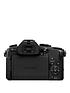  image of panasonic-dmc-g80meb-k-lumix-g-professional-camera-with-12-60mm-lens-black