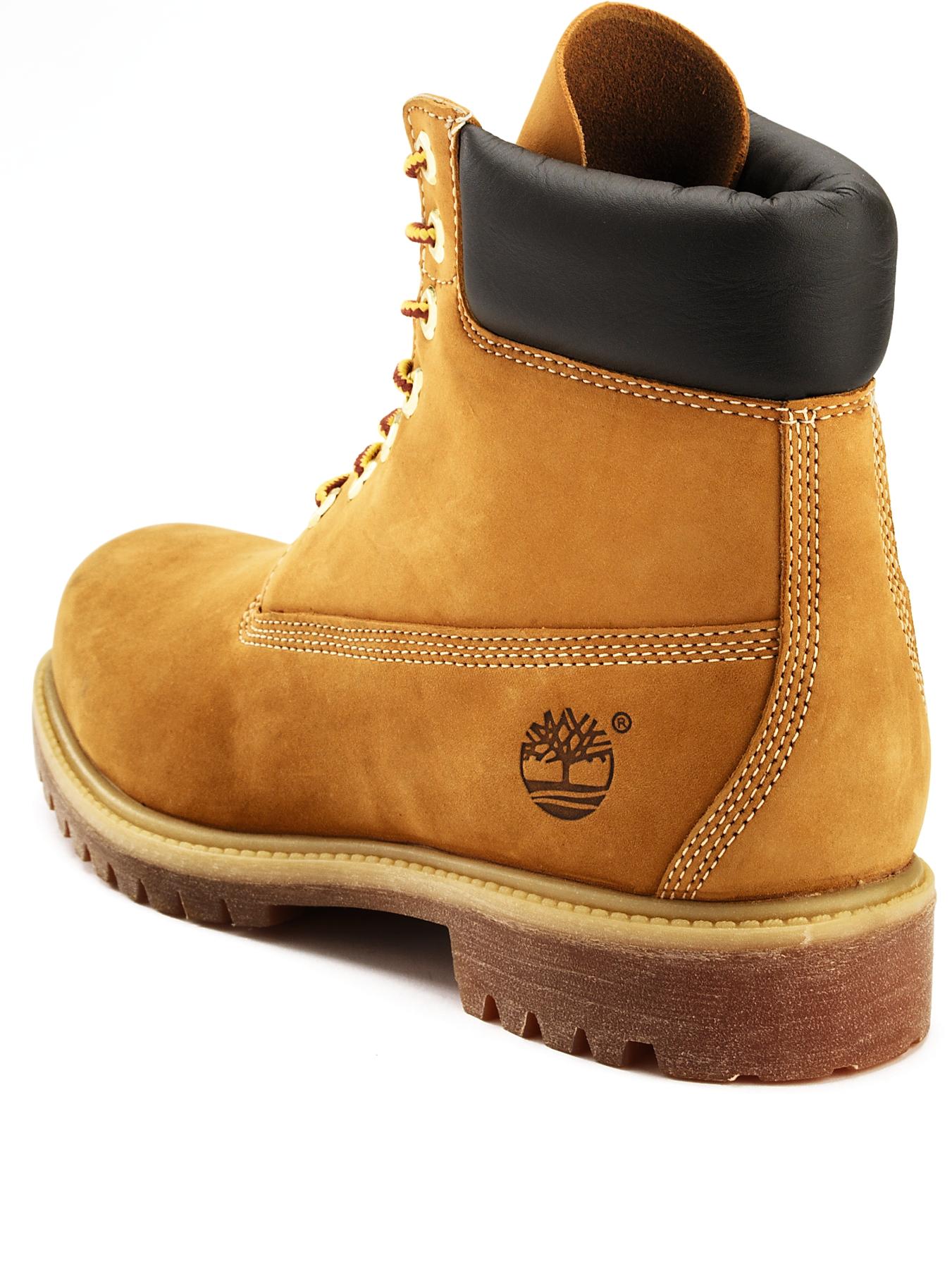 Men's 6 inch premium best sale timberland boots