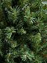  image of everyday-6ft-green-regal-fir-tree