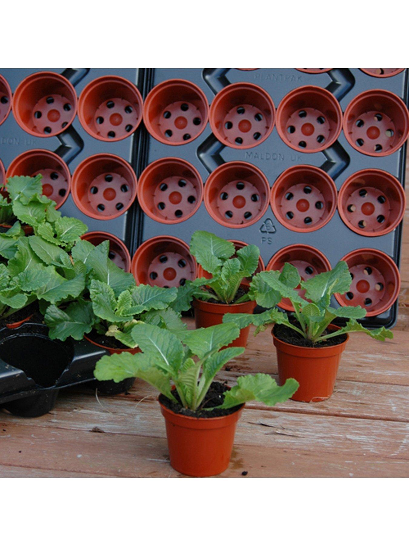 Image 3 of 5 of You Garden Professional Shuttle Trays Including 90 Pots For Pricking Out