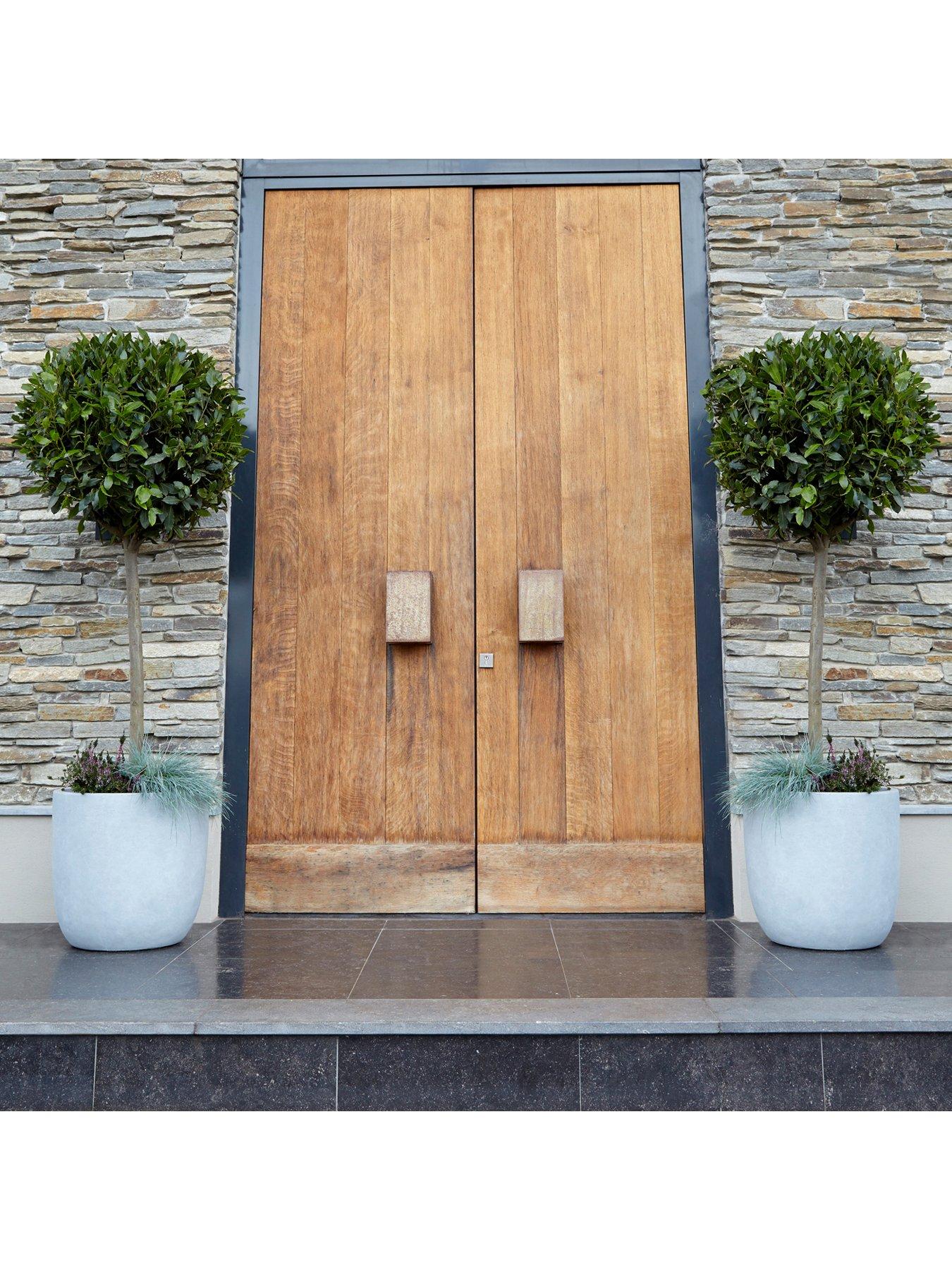 Image 1 of 5 of You Garden Pair of Standard Bay Trees 70-80cm Tall