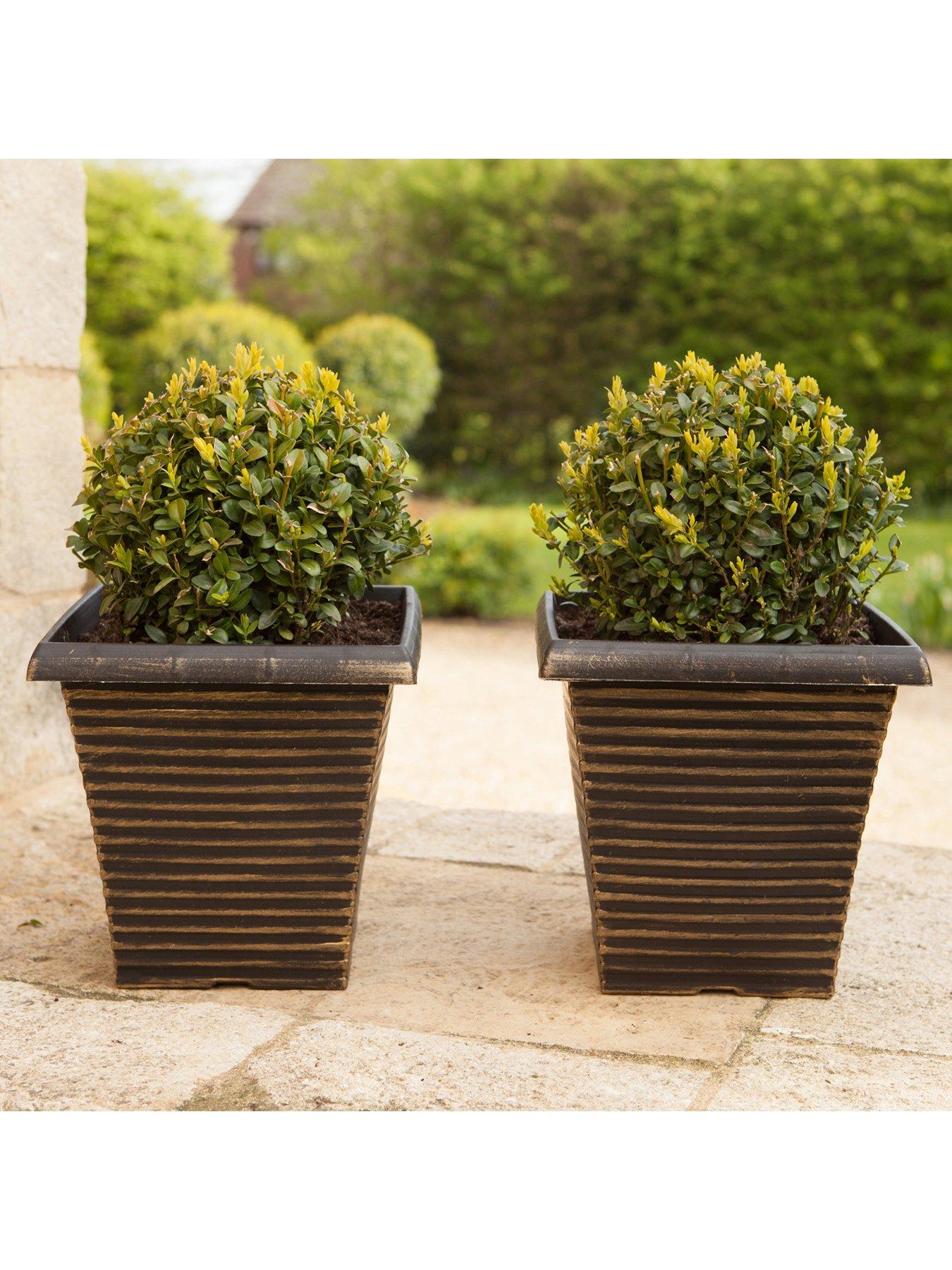 Image 1 of 5 of You Garden Pair Of Box Balls -&nbsp;25cm