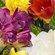 ONE_COLOUR