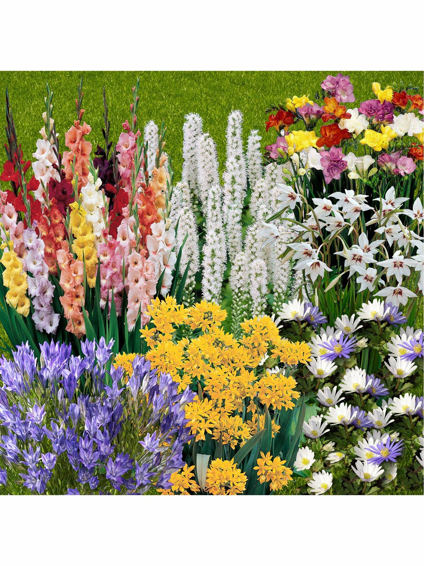 you-garden-300-summer-flowering-bulbs-in-7-varieties
