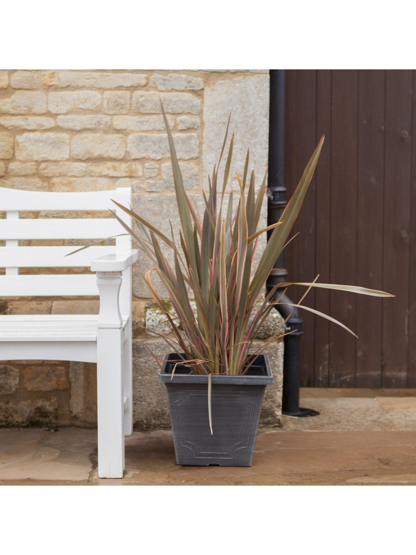  image of you-garden-phormium-sundowner-pink-5l-pot