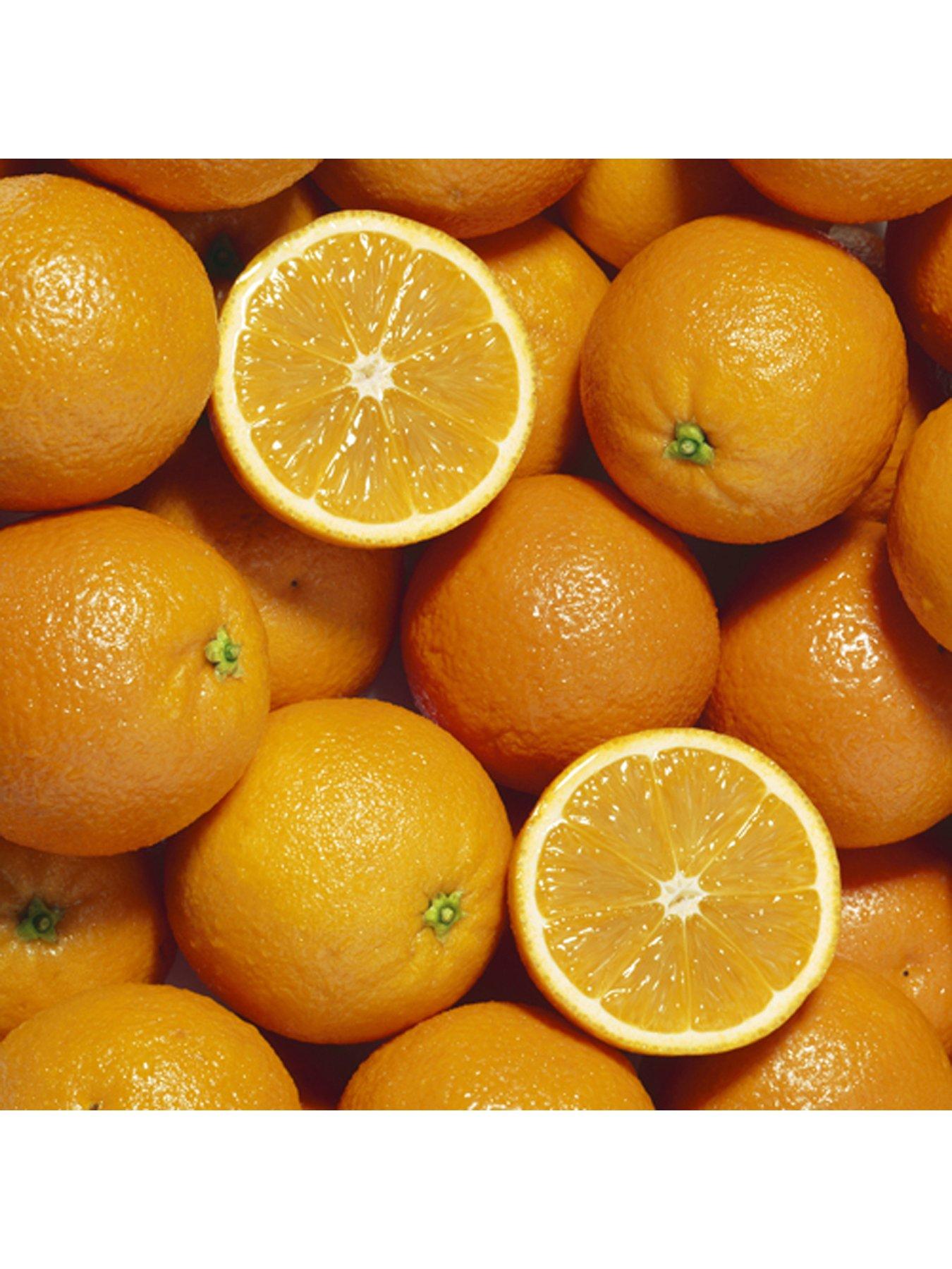 Image 5 of 5 of You Garden Large Orange Tree