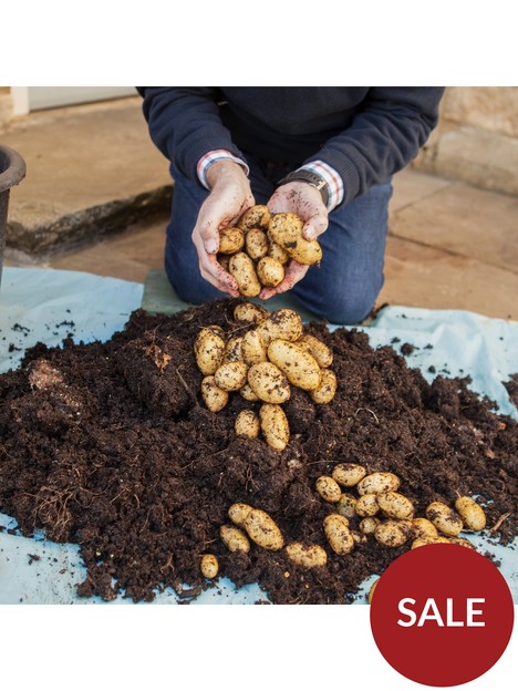complete-patio-potato-growing-kit