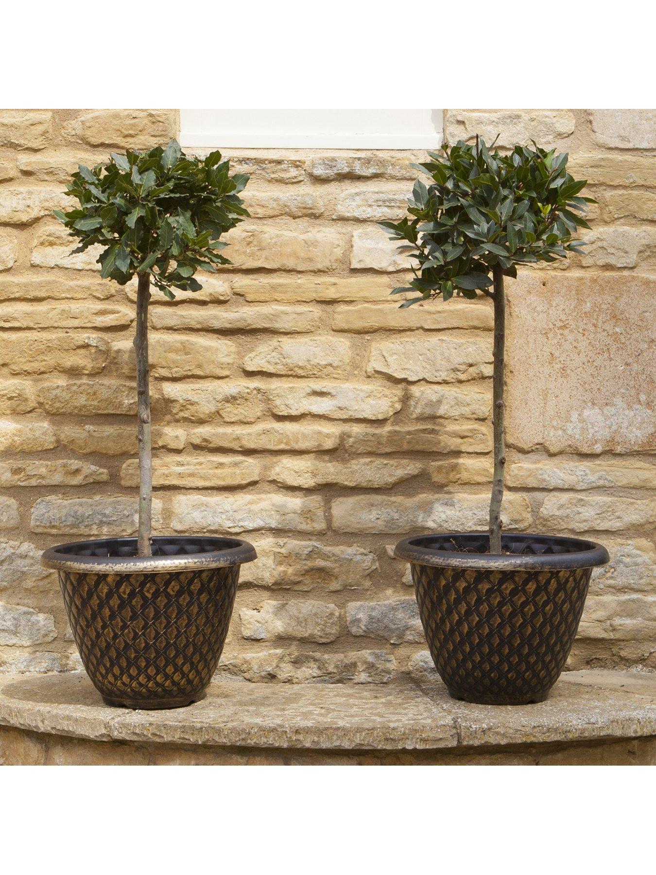 Image 1 of 2 of You Garden Pair of Gold Pinecone Planters - 33 cm Diameter