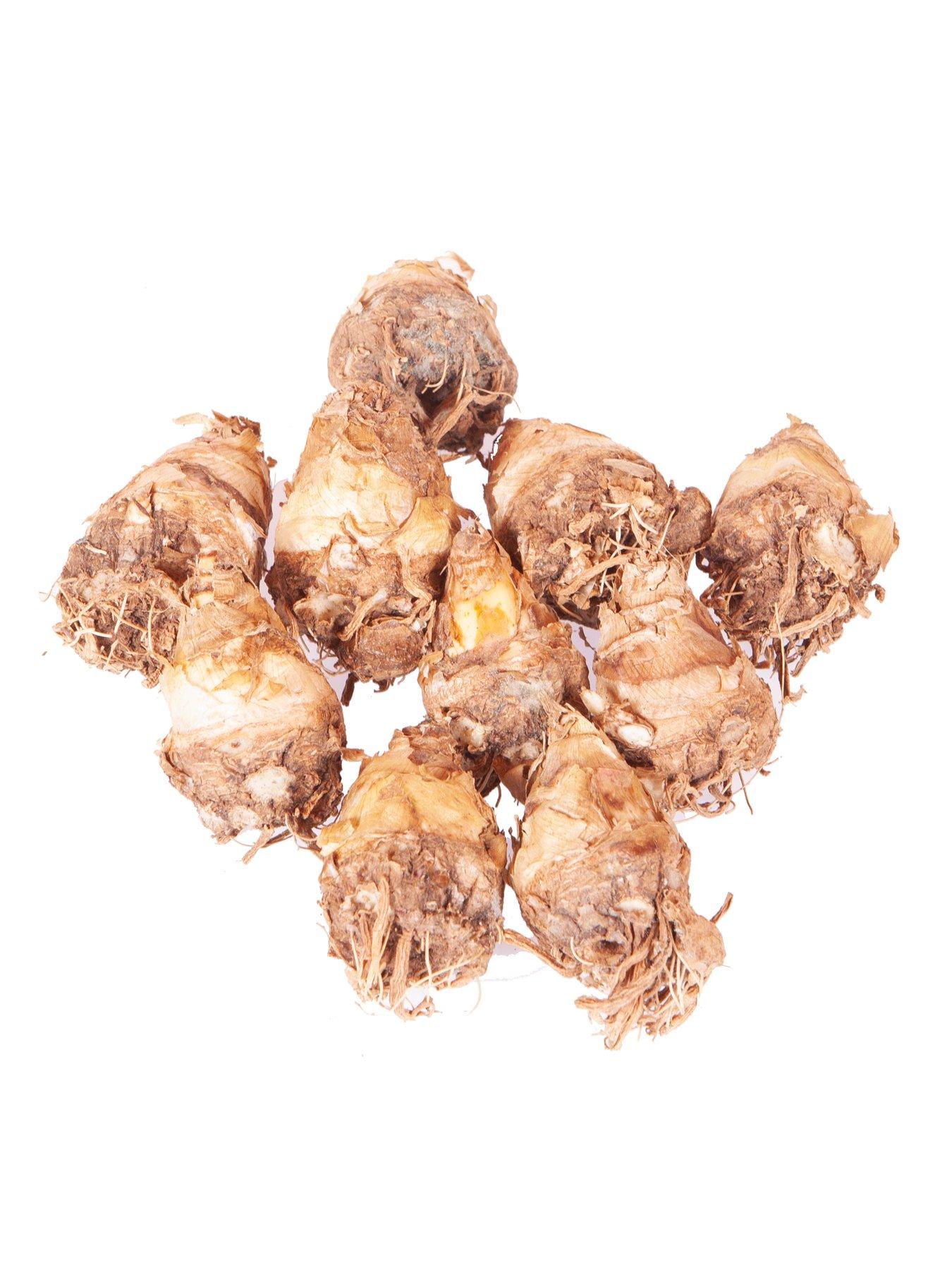 Image 3 of 3 of You Garden Polianthes tuberosa 'Tuberrose' Pack of 10 Bulbs