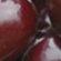 ONE_COLOUR