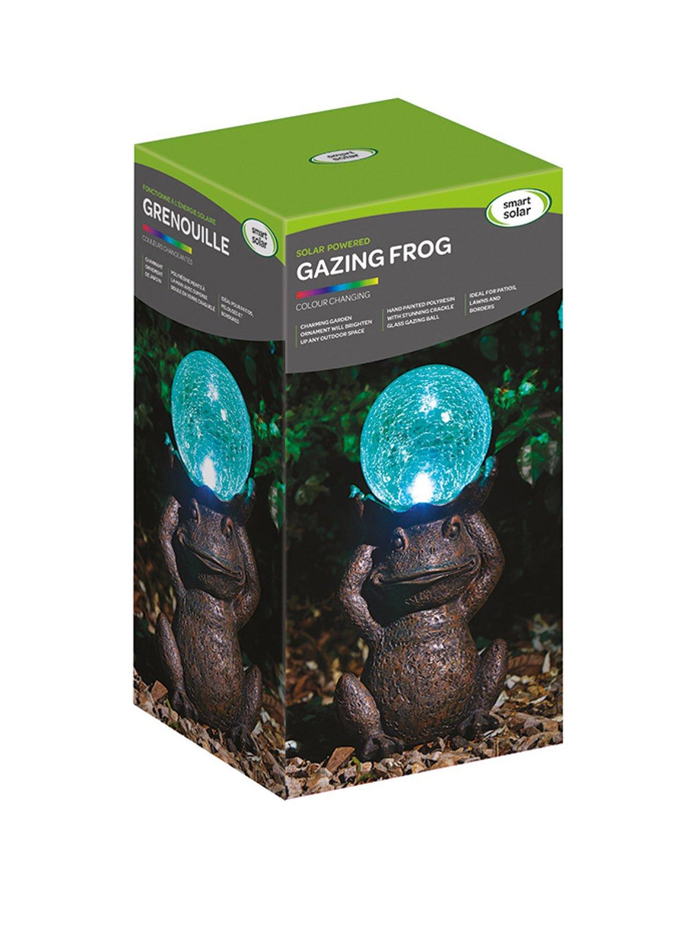  image of smart-solar-gazing-frog