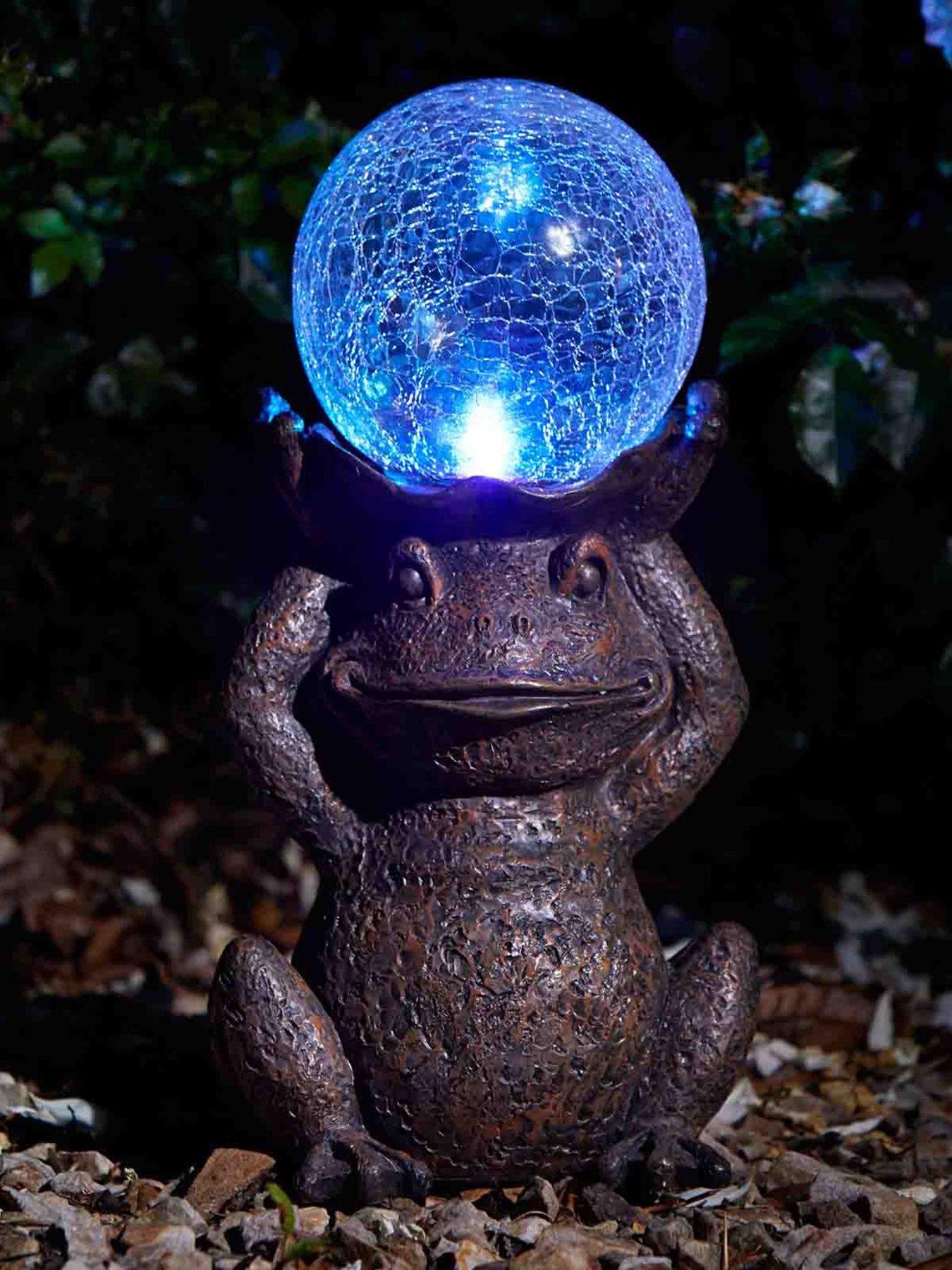  image of smart-solar-gazing-frog