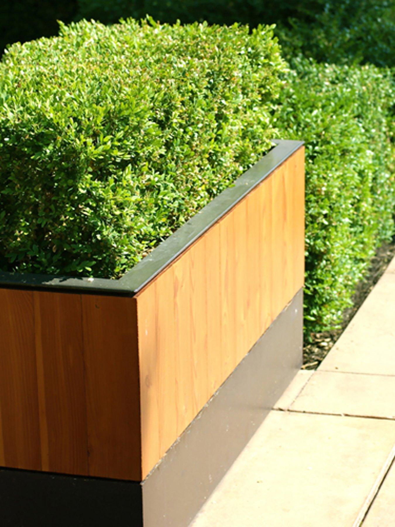 front image of you-garden-box-buxus-hedging-pack-10-plants-in-9cm-pots