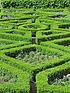 image of box-buxus-hedging-pack-10-plants-in-9cm-pots