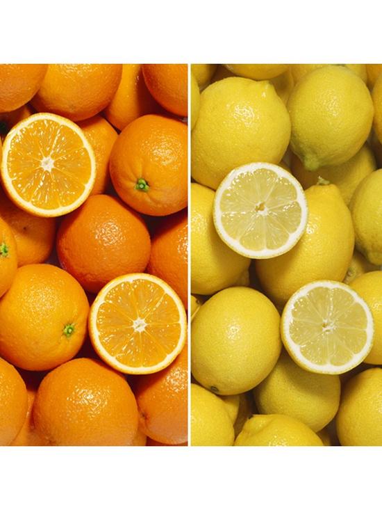 stillFront image of orange-and-lemon-starter-tree-pair-in-9cm-pots