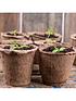  image of skeleton-tray-and-36-bio-pots-for-growing-on
