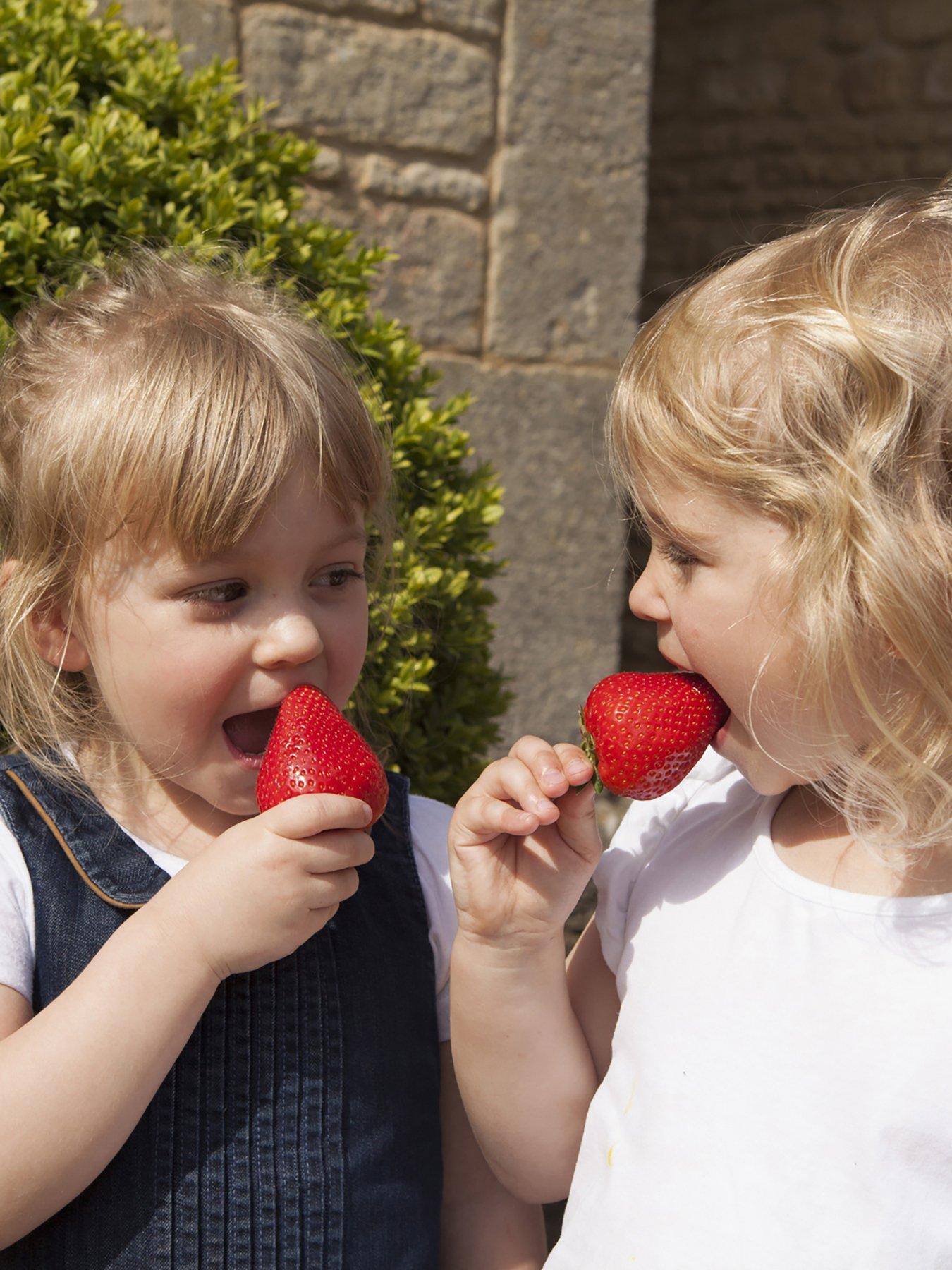 You Garden Pack 12 Strawberry 'Sweet Colossus' plug plants | Littlewoods