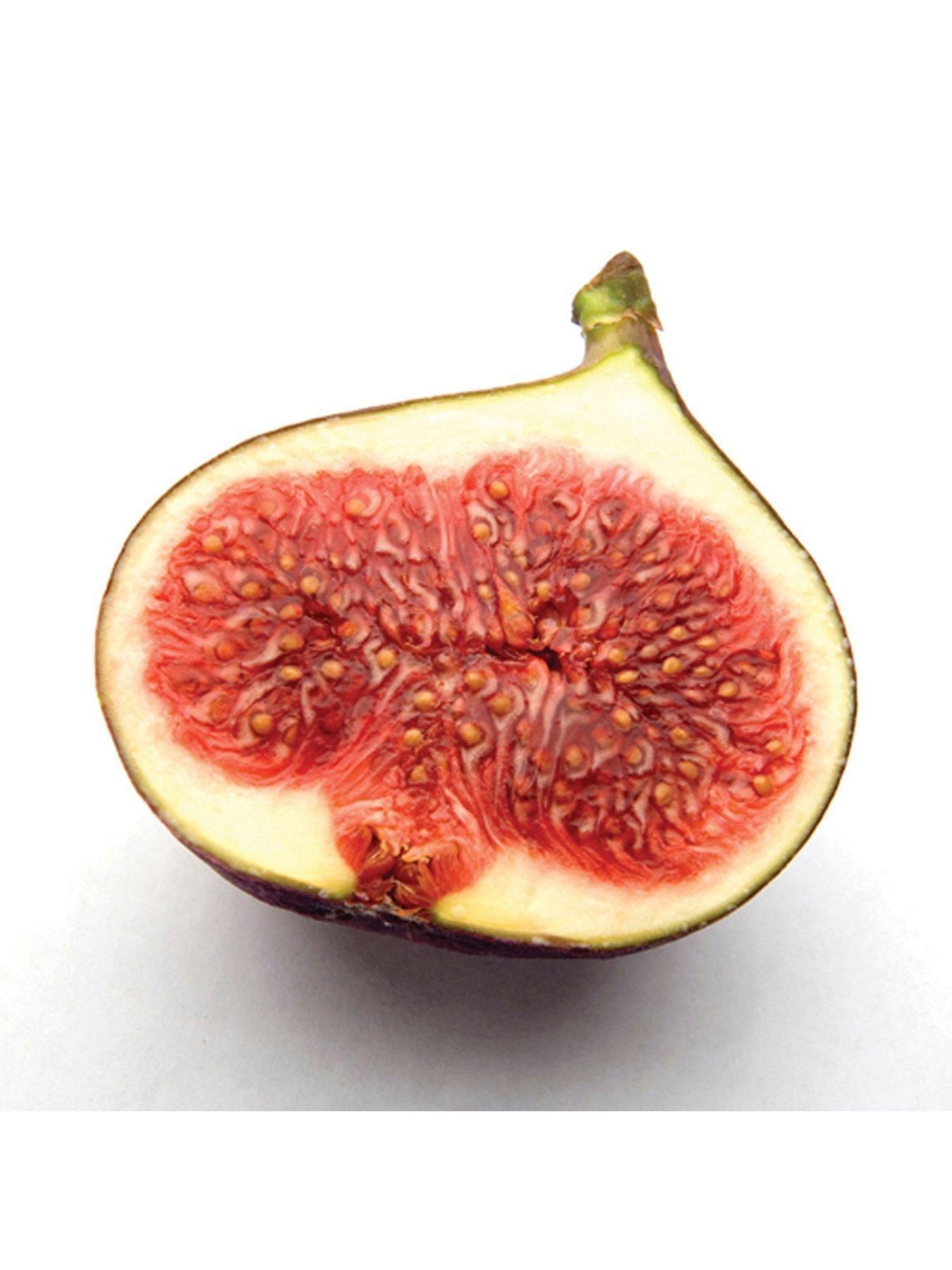  image of you-garden-fig-tree-brown-turkey-standard-form-12-14m-tall