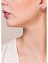  image of radley-sterling-silver-and-crystal-set-logo-ladies-earrings