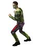  image of marvel-adult-hulk-costume