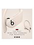  image of beats-powerbeats-pro-totally-wireless-earphones