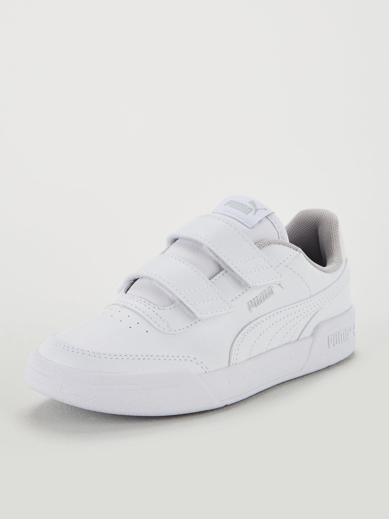 puma caracal white