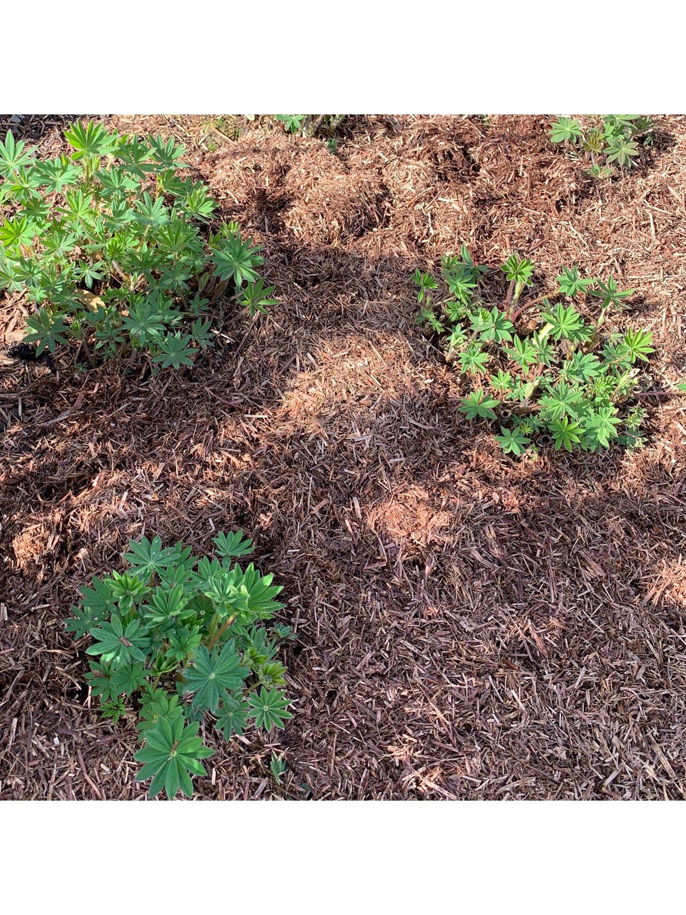 Strulch Mineralised Straw Mulch & Slug Deterrent 9kg Bag