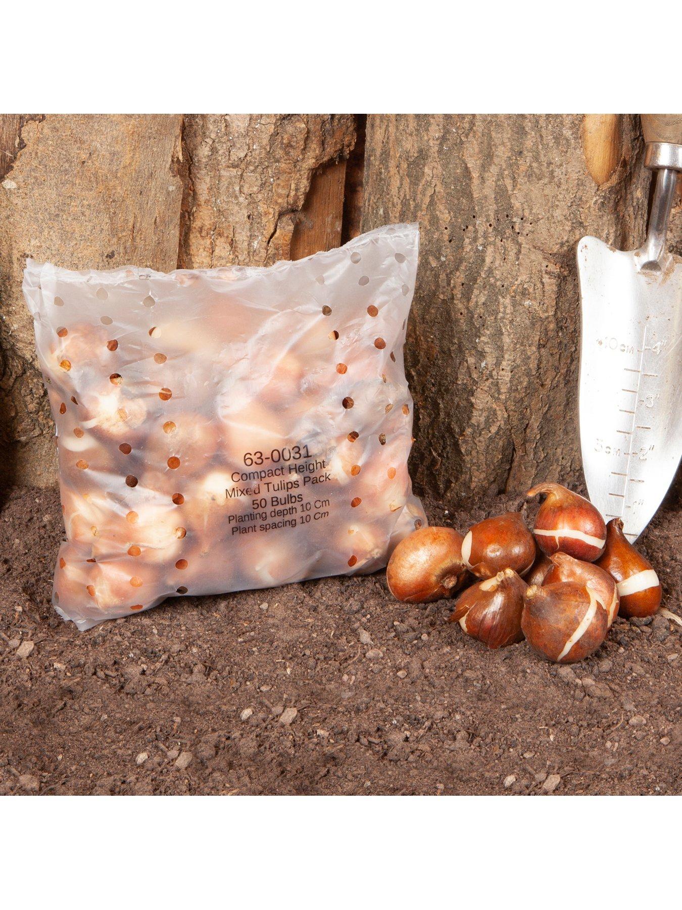  image of you-garden-dwarf-tulips-x-30-bulbs-mixed