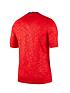  image of nike-england-pre-match-training-top-red