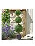  image of smart-garden-trio-topiary-tree
