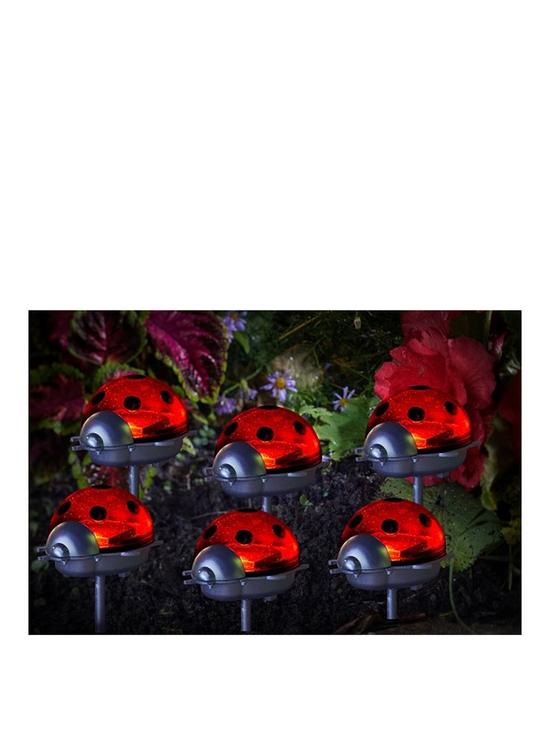 front image of smart-solar-ladybird-stake-light-6-pack