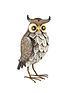  image of la-hacienda-decorative-steel-wise-owl