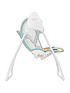  image of graco-baby-delight-swing