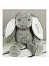  image of the-personalised-memento-company-personalised-plush-bunny