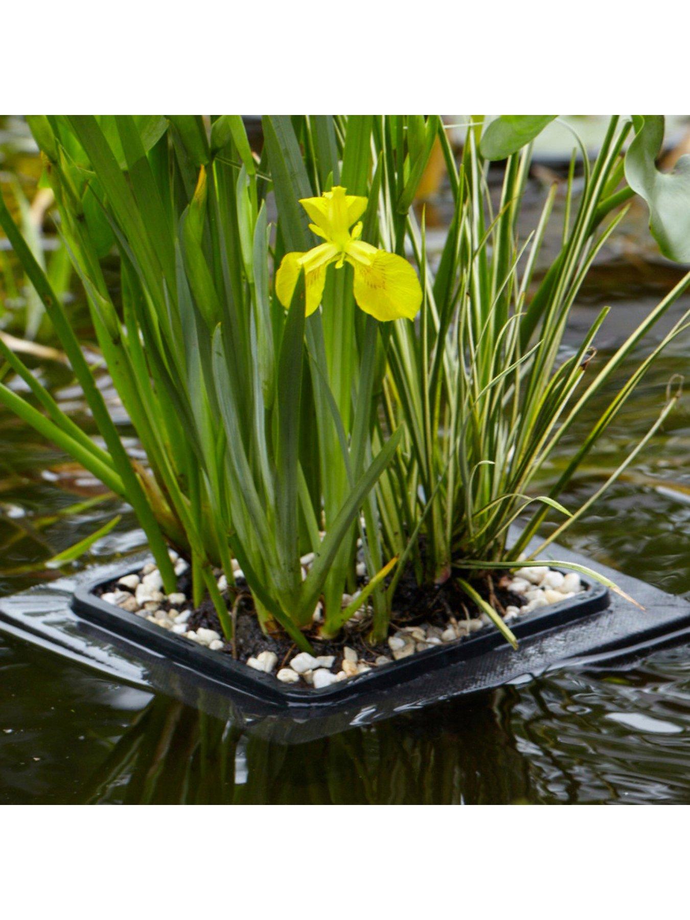 You Garden Complete Pond Floating Raft kit -plants, gravel & raft ...