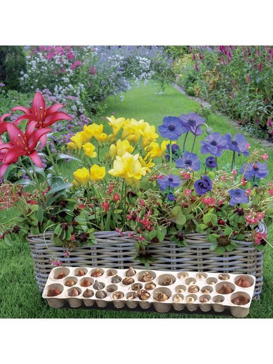 front image of balcony-plant-o-mat-x-38-bulbs-spring-version