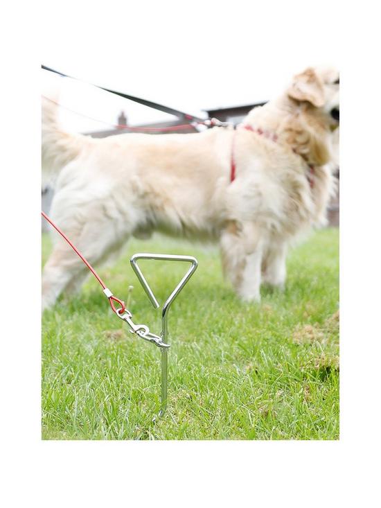 front image of streetwize-accessories-caravancamping-dog-tether-w-4m-lead