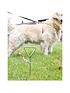 streetwize-accessories-dog-tether-amp-4m-leadfront