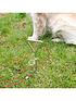  image of streetwize-accessories-caravancamping-dog-tether-w-4m-lead