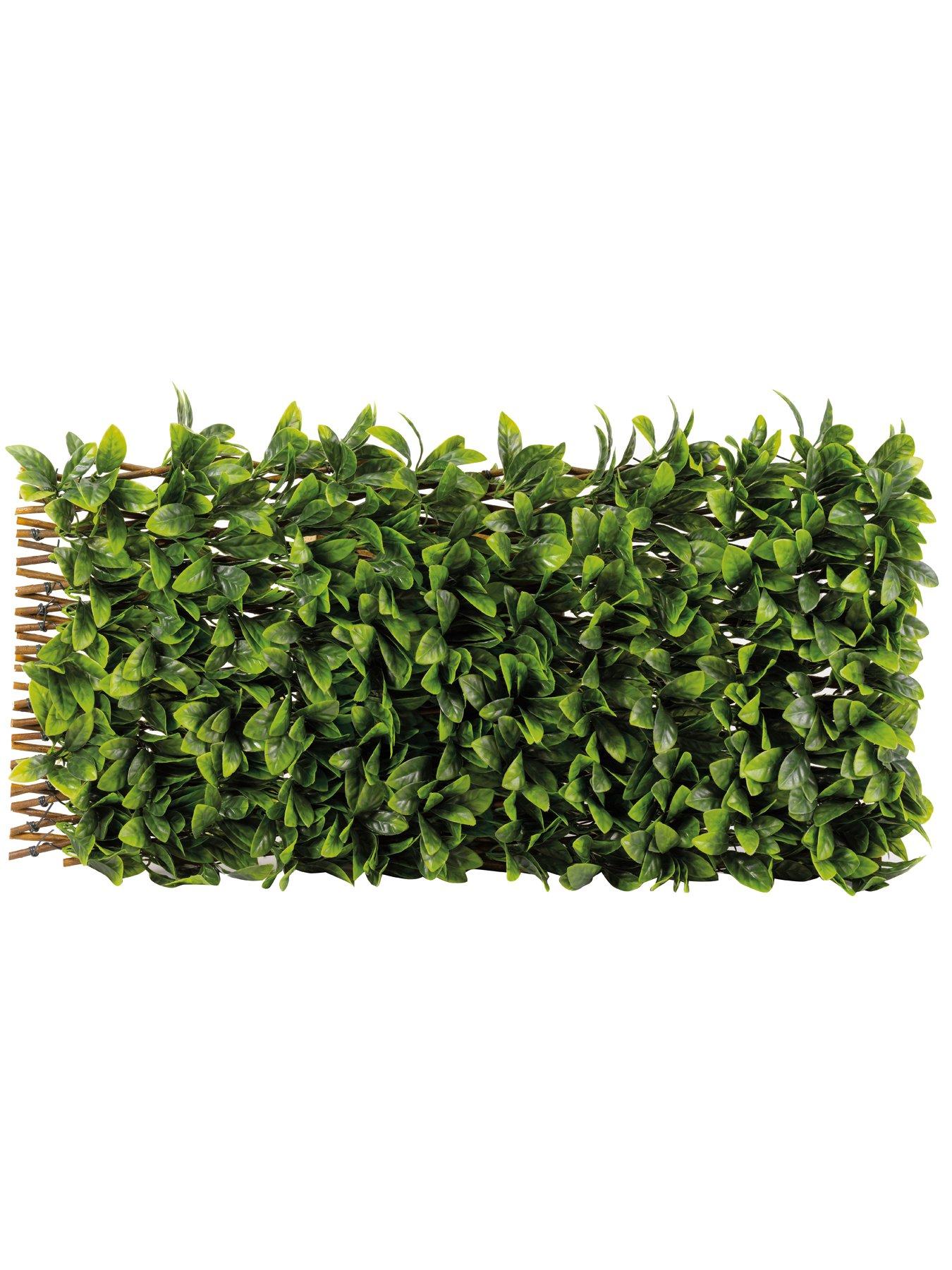  image of smart-garden-lemon-leaf-180-x-90cm-trellis