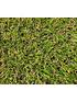 nomow-green-meadow-20mm-artificial-grassnbspoutfit