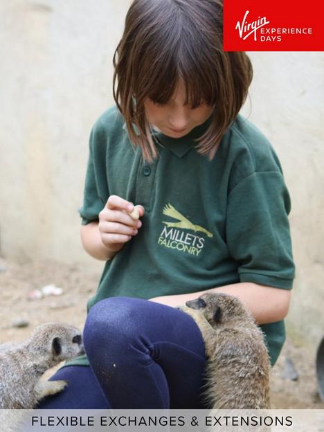 virgin-experience-days-meet-and-feed-the-meerkats-for-two-at-millets-falconry-centre-oxfordshire