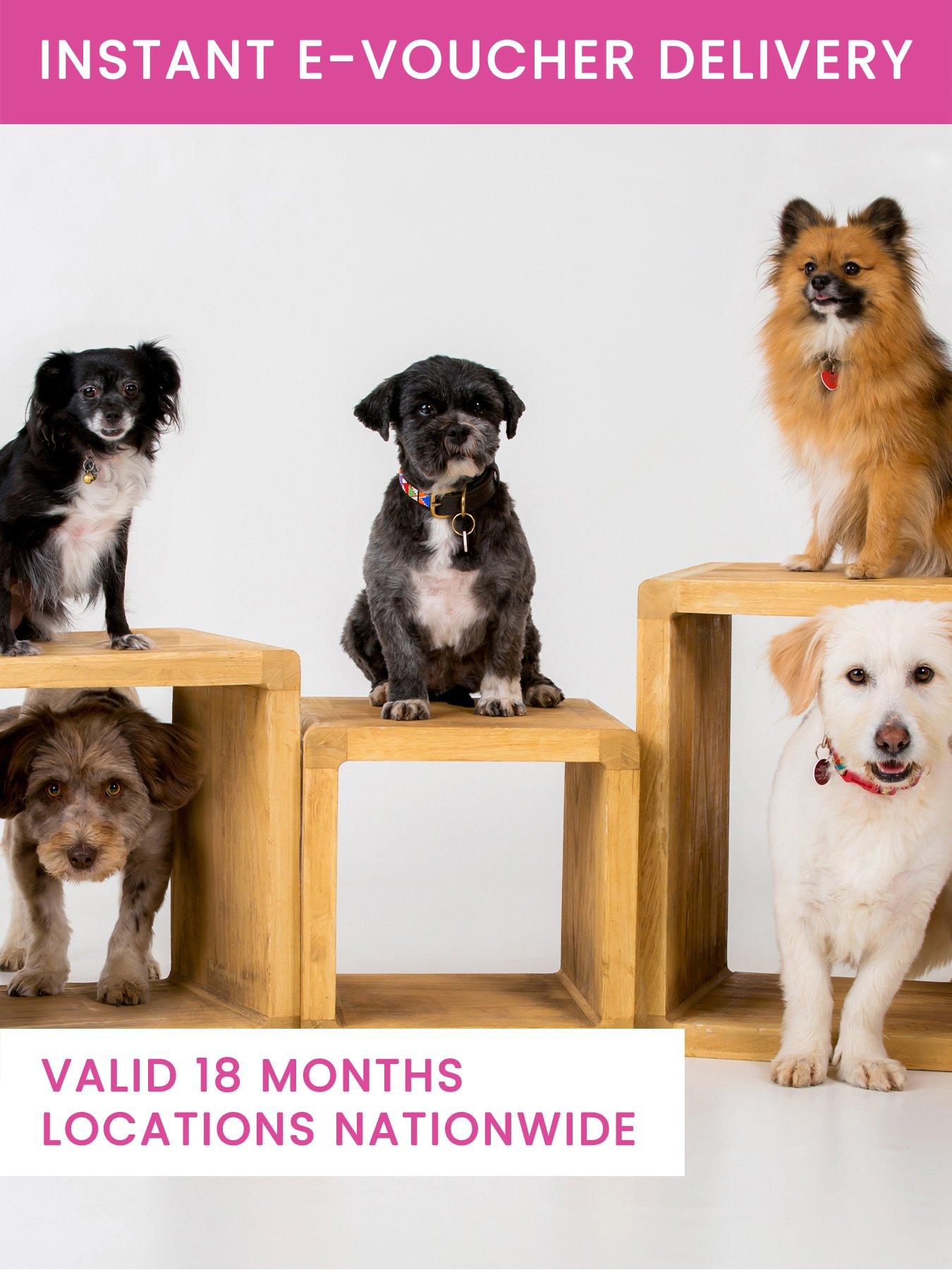 Activity Superstore Pet Photoshoot