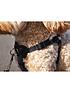  image of rosewood-front-connect-padded-dog-harness-large
